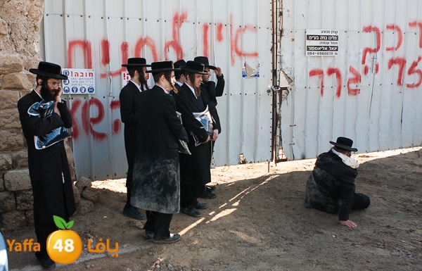 haradeem france hos 629 (9).jpg